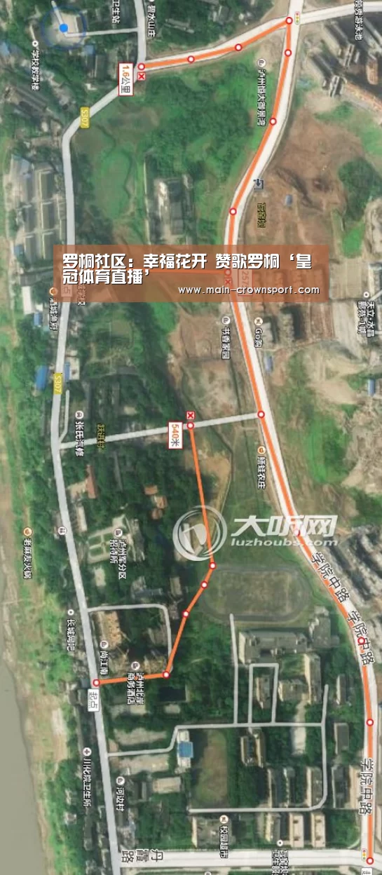 罗桐社区:幸福花开 赞歌罗桐‘皇冠体育直播’(图3) 皇冠体育直播