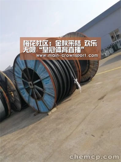 梅花社区:金秋采桔 欢乐无限“皇冠体育直播”(图3) 皇冠体育直播