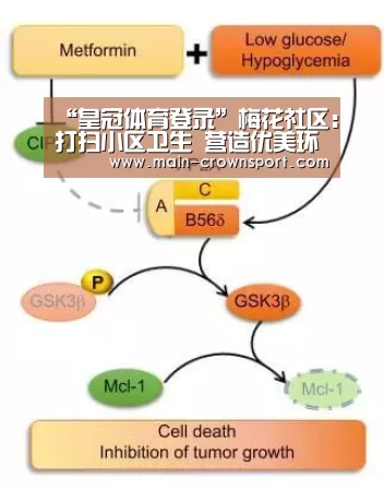 皇冠体育登录