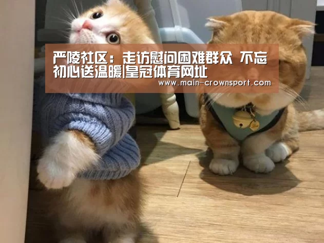 严陵社区:走访慰问困难群众 不忘初心送温暖|皇冠体育网址(图2) 皇冠体育直播